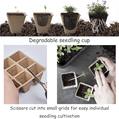 Delphinus 12 Packs Seedling Starter Trays, 144 Cells