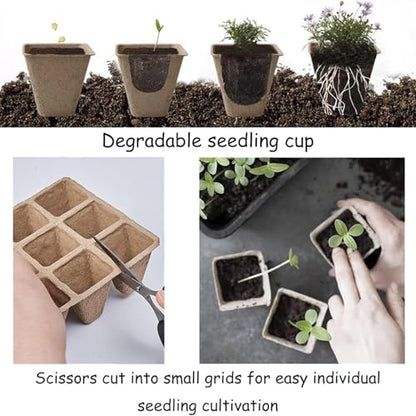 Delphinus 12 Packs Seedling Starter Trays, 144 Cells