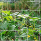 Tcamp Heavy-Duty Polyester Garden Trellis Netting, 5Ft x15Ft (1 Pack) - size: 3.5" Mesh (5*15Ft)