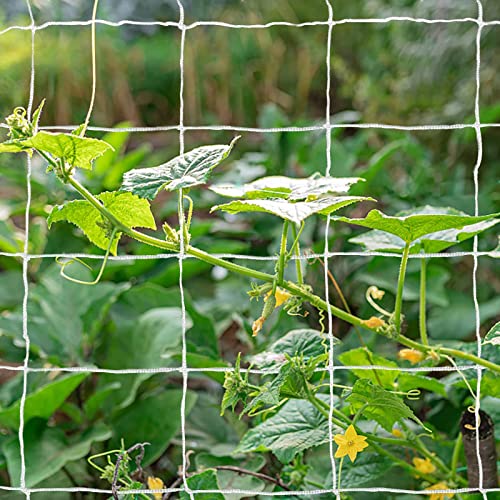 Tcamp Heavy-Duty Polyester Plant Trellis Netting,1 Pack - size: 3.5" Mesh (5 Ft X 30 Ft)