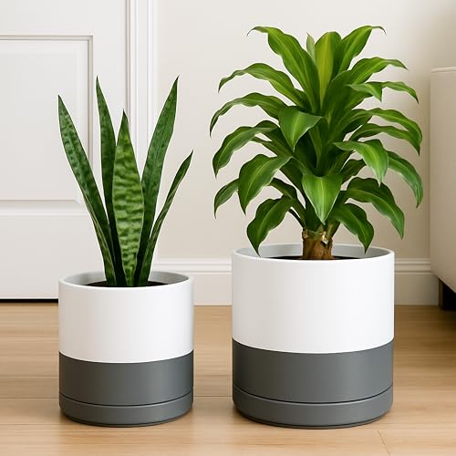 D'vine Dev 2-Pack Ceramic Pots with Saucers, 8/10 in, White/Grey, 94-G-L-6 - color: White/Speckled Grey, size: Large