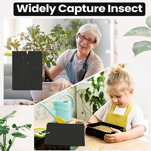 Qualirey 100 Pcs 6x8 Inch Black Sticky Traps for Gnats - color: Black