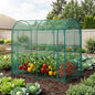 Garden Crop Cage, Plant Netting Cover with Zipper Door, Vegetable Insect Protection - color: Green, size: 200*100*180cm