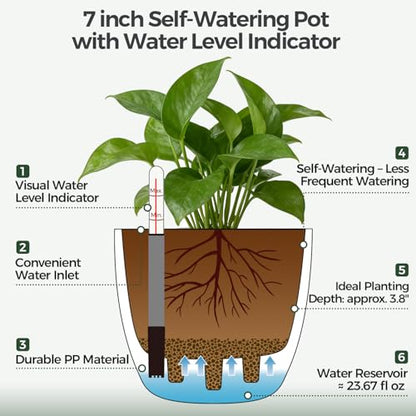 T4U Self Watering Pots 7 Inch Indoor Planters with Water Indicator 2 Pack