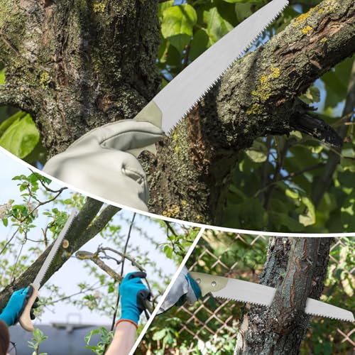 Hand & Pruning Saw Combo Pack: Premium 11-inch Heavy Duty Saw with Plastic Handle & 9-inch Sharp Compact with Wood Handle for Tree Trimming, Camping, Gardening | 2-Pack Saws