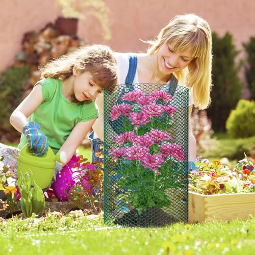 32.8ftx24In Plant Protectors from Animals,Plant Cages for Outdoor Plants - size: 32.8Ft x 24In