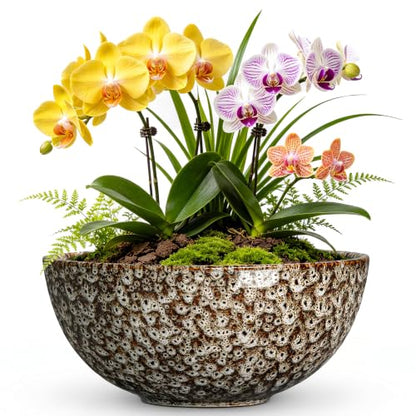 Bowl Planter, 8 Inch Ceramic Succulent Pots, White Leopard - color: White Leopard-1, size: 8 Inch