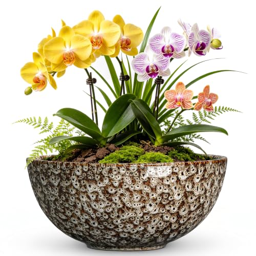 Bowl Planter, 8 Inch Ceramic Succulent Pots, White Leopard - color: White Leopard-1, size: 8 Inch