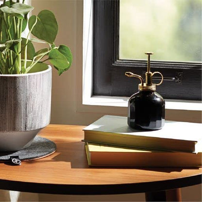 Modern Sprout Plant Mister - 8 oz Indoor Watering Can & Sprayer - Black - color: Black