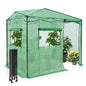 EAGLE PEAK 6x8 Easy Setup Pop Up Greenhouse, Side Door Design, Clear/Green - color: Clear/Green, size: 6x8