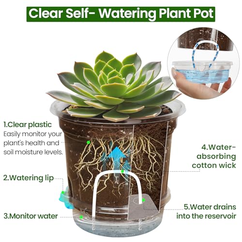 Bluepro Self Watering Pots for Indoor Plants, 6.5 Inch, 12-Pack - size: 6.5 Inch-12Pcs