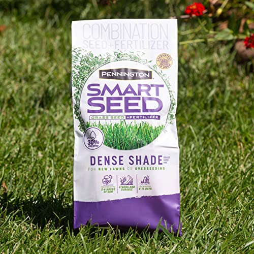Pennington Smart Seed Dense Shade Mix Grass Seeds for Lawn, 7 Lb - size: 7 LB