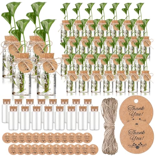 Baderke 48 Pcs 3.54'' Plastic Plant Propagation Stations with Hole Lid 4oz Planter Vase Clear Propagation Jars with Thank You Tags for Plant Lover Gifts for Women Office Home Garden - style: Cute