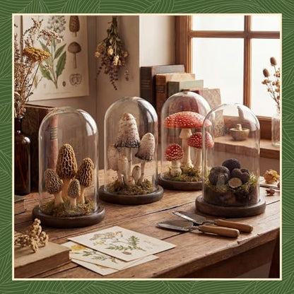 Suclain 4Pc Glass Dome Cloche with Wood Base, Brown, 6.7" X 3.8" - color: Brown, size: 6.7" X 3.8"