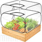 2 Pack Garden Covers for Raised Bed Foldable Clear PVC Greenhouse for Freeze Protection Row Plants Cover Accelerator with Zipper Door Black 39"x39"x20" Protection Vegetable Fruit from Animal - size: 39"x39"x20"