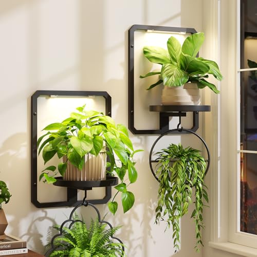 iDavosic.ly Wall Plant Picture Frame Holder Set of 2 & 2 Grow Lights, Black - color: Black with 2 Lights, size: Rectangular