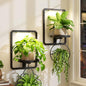 iDavosic.ly Wall Plant Picture Frame Holder Set of 2 & 2 Grow Lights, Black - color: Black with 2 Lights, size: Rectangular