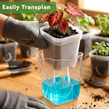 20 Pack 2.5 Inch Small Self Watering Pots for Indoor Plants - size: 2.5in