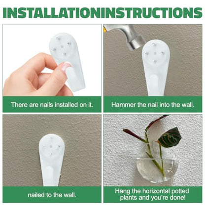 4 Pack Wall Propagation Planters, Oblate Glass Hanging Terrarium