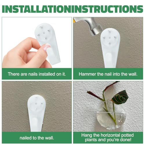 4 Pack Wall Propagation Planters, Oblate Glass Hanging Terrarium