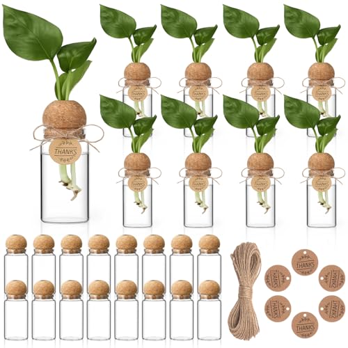 24 Pack 3.54'' Plant Propagation Stations 4 oz Glass Propagation Jars Planter Hydroponic Vase with Mushroom Hole Lid and Thank You Tags for Plant Lovers Office Home Garden