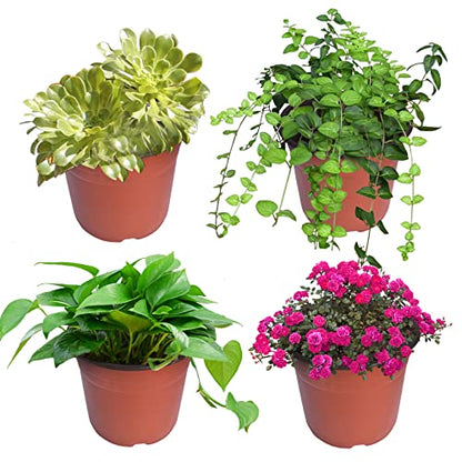 HOSTIC 5.1 Inch Nursery Pot Seedling Pot Plant Container Seed Starting Pots Multipurpose Plastic Pots 100 Packs - size: 5.1 Inch