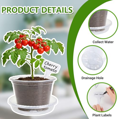 36 Pack Clear Nursery Pots with Saucers(3.5/4/5 Inch)