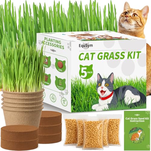 5Pack Cat Grass Seeds Growing Kit for Indoor Cats