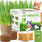 5Pack Cat Grass Seeds Growing Kit for Indoor Cats