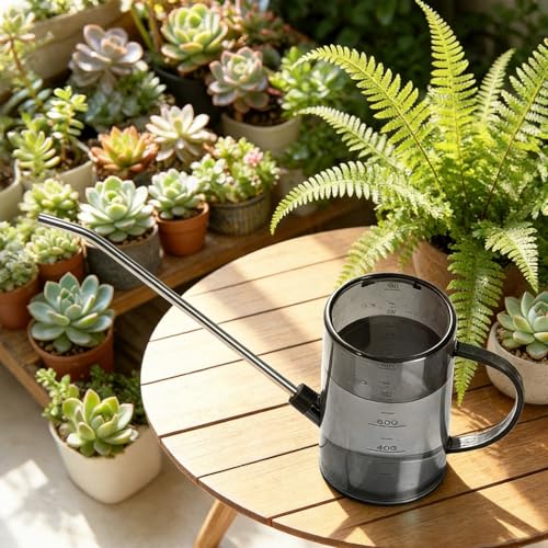 Plastic Watering Can - with Long Spout - 1/4 Gallon - 34 Oz - Grey - color: Gray
