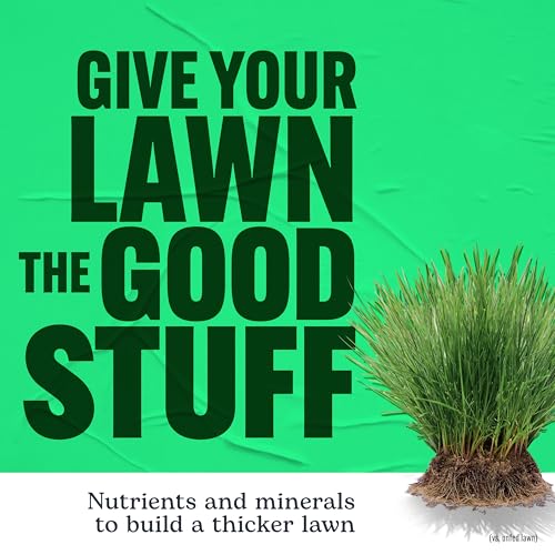 Scotts Turf Builder Lawn Food, 15.8 lbs. - size: 5,000 sq. ft.