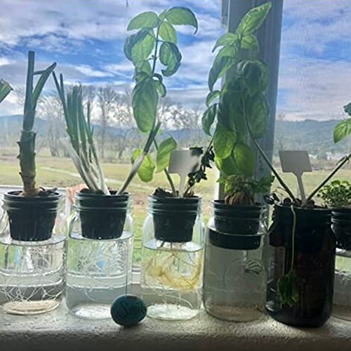 Plastic Net Cups Pots for 3 Inch Holes for Hydroponics, 15 Pack