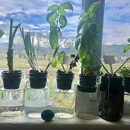 Plastic Net Cups Pots for 3 Inch Holes for Hydroponics, 15 Pack