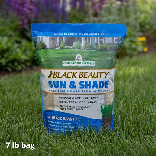 Jonathan Green Black Beauty Sun & Shade Grass Seed - 7 lb - size: 7 lb