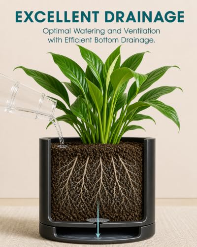 vancasso Ceramic Plant Pots, 3 Piece Planters for Indoor Plants, Black - color: Black