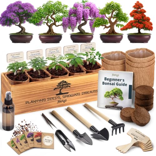 Bonsai Tree Kit Classic - Growing 5 Unique Japanese Bonzai Trees - size: Large 14"
