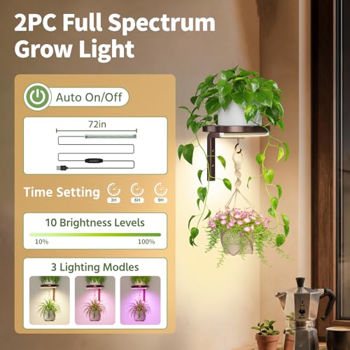 LASZOLA Plant Hanger Holder Shelf Wall Indoor with Lights, 2 Pcs Brown - color: Bronze, size: 2