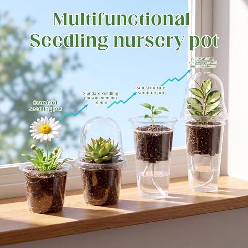 30 Pack 3.5" Self Watering Propagation Pots Clear, Plain Cup - size: 3.5"