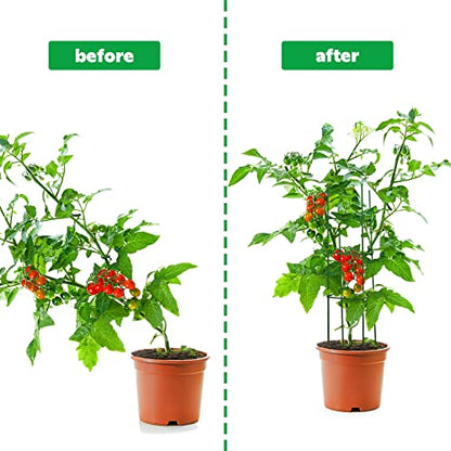 Chunful 10 Packs Tomato Cages for Garden Support up to 48", Green - color: Green