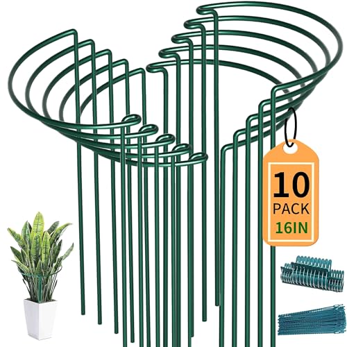 TCBWFY 10 Pack Plant Support Stakes for Peony,10" Widex16 High Heavy Duty Peony Cages and Support,Metal Peony Supports for Outdoor Indoor Plants,Plant Supports for Peony,Tomatoes,Hydrangea,Rose - size: 10"Dx16"H-10PCS