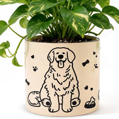 STHIE Ceramic Planters with Drainage Holes, 5 Inch Pots for Indoor Plants - color: Cy-goldbowl01