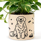 STHIE Ceramic Planters with Drainage Holes, 5 Inch Pots for Indoor Plants - color: Cy-goldbowl01