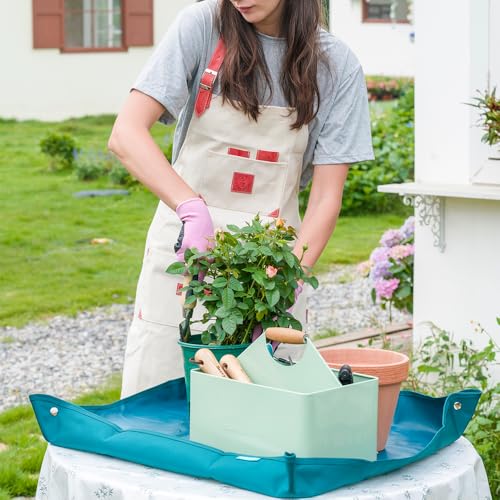 Garden Tool Organizer, Metal Garden Caddy with 4 Compartments