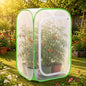 Pop-up Mesh Plant Cage Tent for Garden Pest Protection (16" x 16" x 24") - size: 16" x 16" x 24"