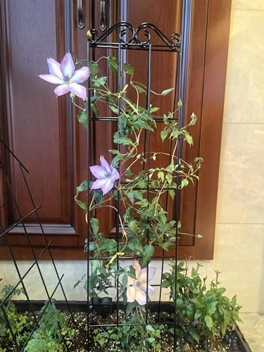 ARIFARO 4Pack 37.5'' Metal Garden Trellis for Climbing Plants Outdoor - size: 37.5 inches