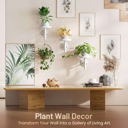 YUOROS 3 Pack Wall Planters for Indoor Plants (White) - color: White