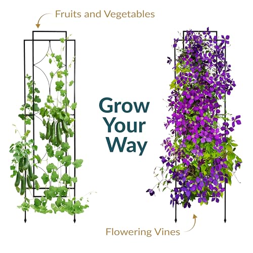 Sunnydaze 60" Black Metal Garden Trellis for Climbing Plants, 2-Pack - style: Chic Diamonds - 60"