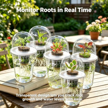 6 Pack Clear Hydroponic Nursery Pots with Humidity Dome for Seed Starting - color: Transparent-6 Pack