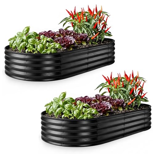 Plant & Plot Galvanized Raised Garden Beds Outdoor // 6×3×1 ft (2-Pack) Planter Raised Beds for Gardening, Vegetables, Flowers // Large Metal Garden Box // Patented Tool-Free Design (Black) - color: Black, size: 6×3×1 Ft (2-pack)