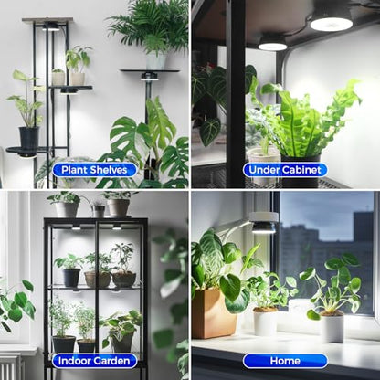 Barrina Orbgrow OG09 Puck Grow Light, 18W(2 x 9W), 5000K, 2 Packs, Black - color: 5000K-Black Cover, size: 2 Packs without Timer